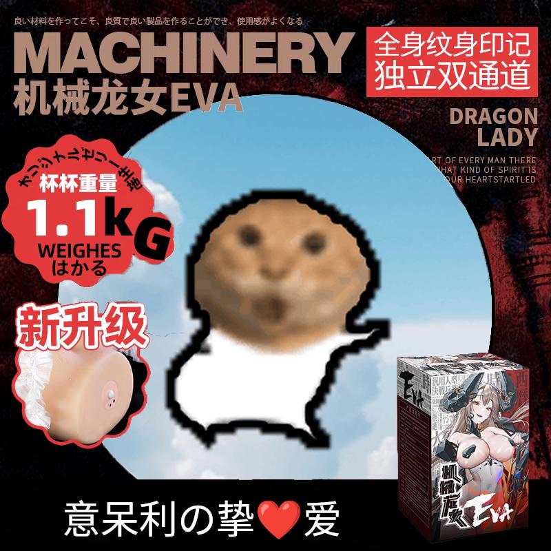meme fleshlight_machinery